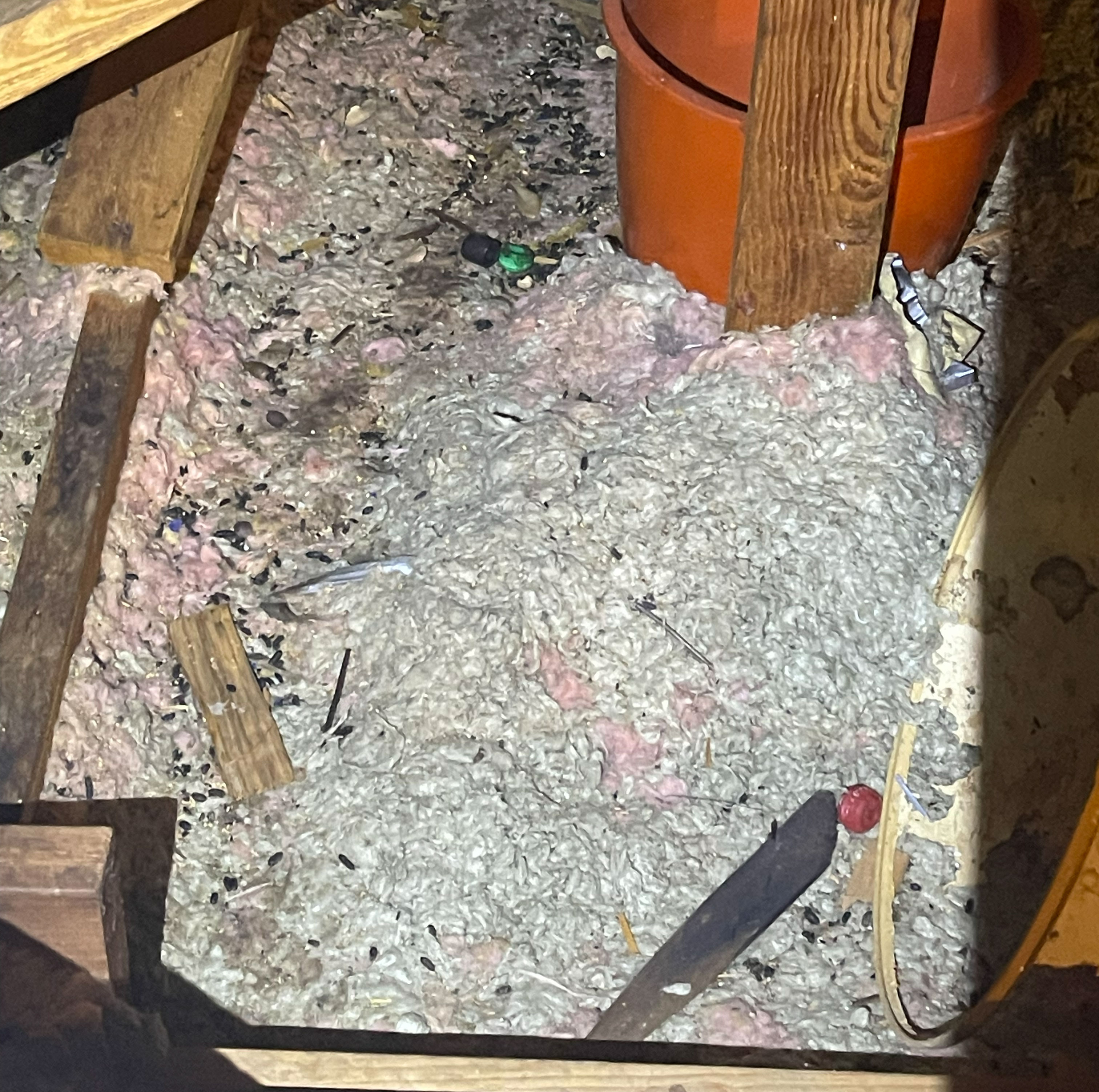 Attic restoration