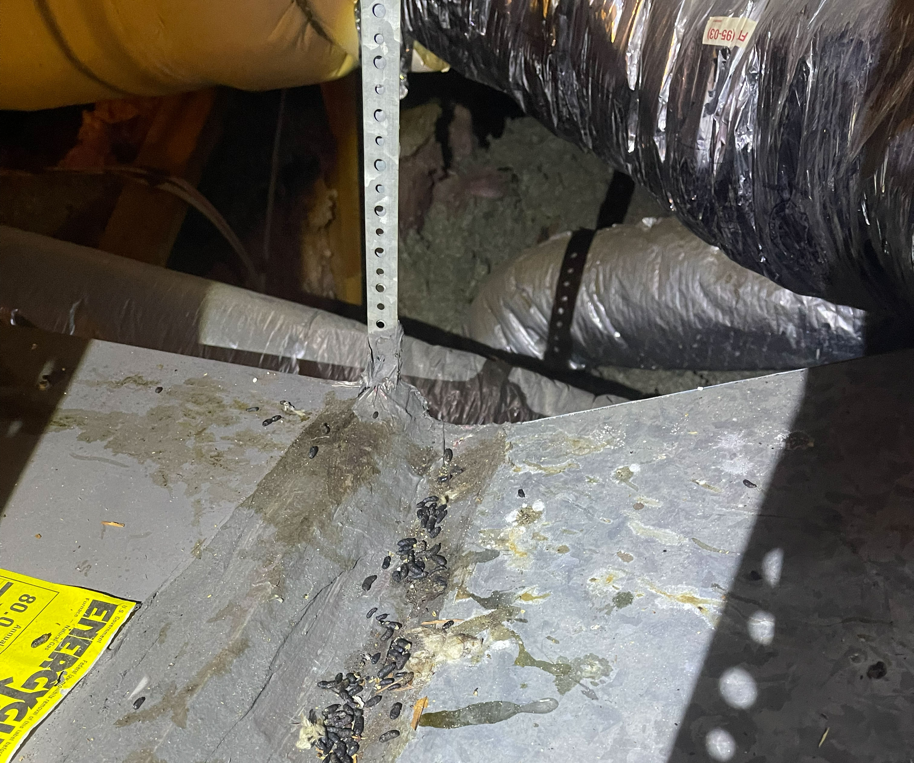 Attic repair