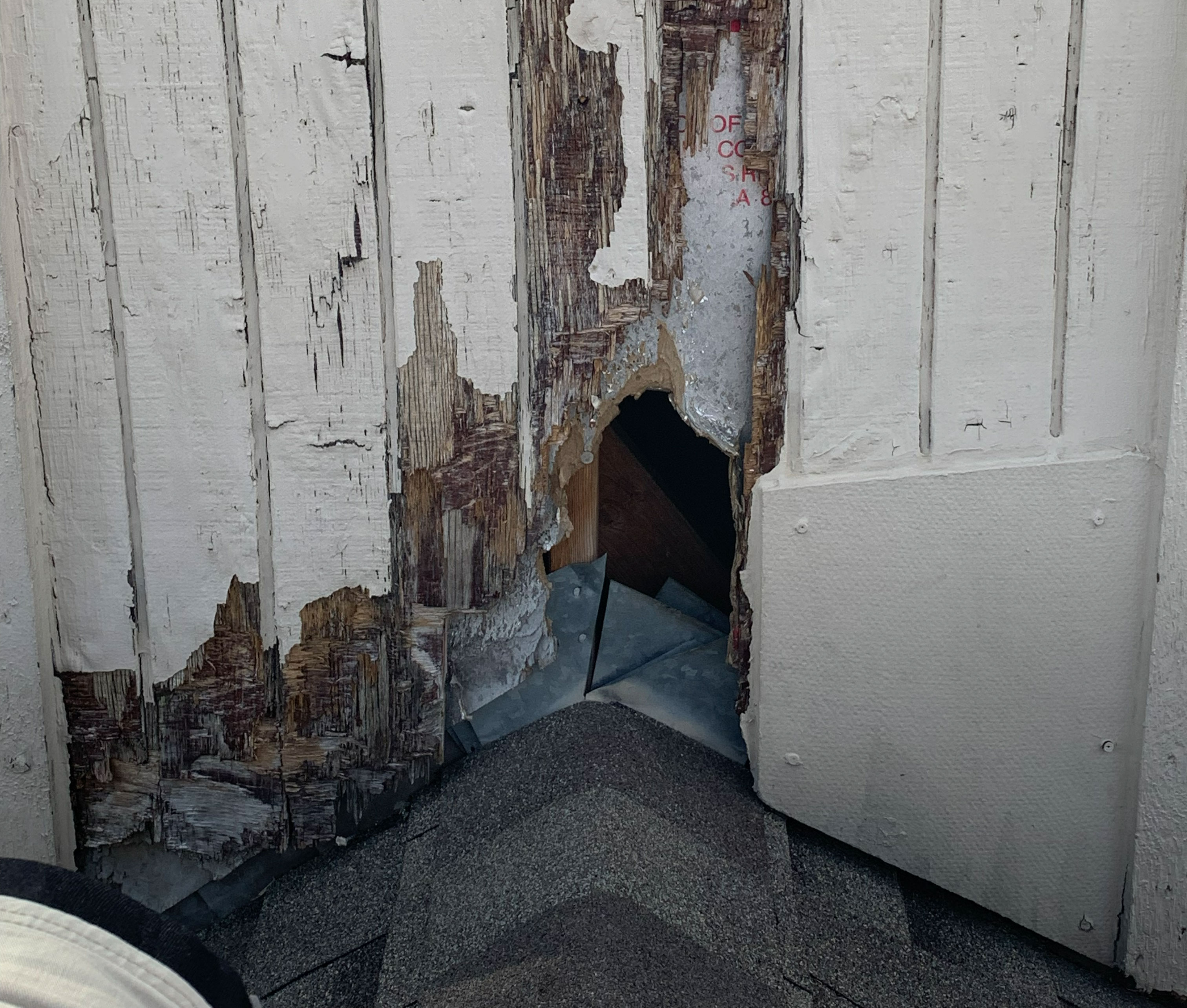 Animal damage repairs